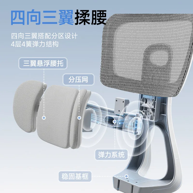 Ergonomic Office Chair with Lu - Home Office Ergonomics 评论和价格