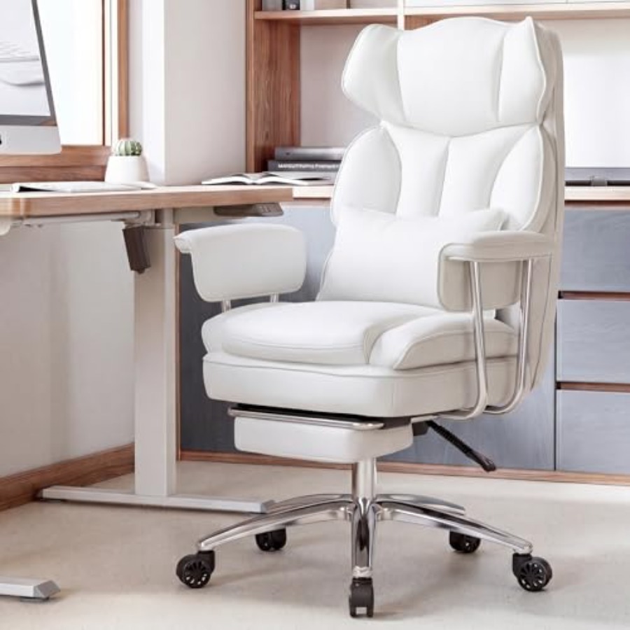 Executive Home Office Desk Cha - Home Office Ergonomics 评论和价格