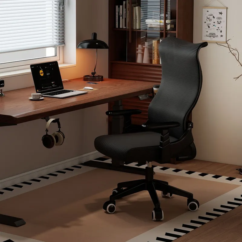 Ergonomic Computer Chair Home  - Home Office Ergonomics 评论和价格