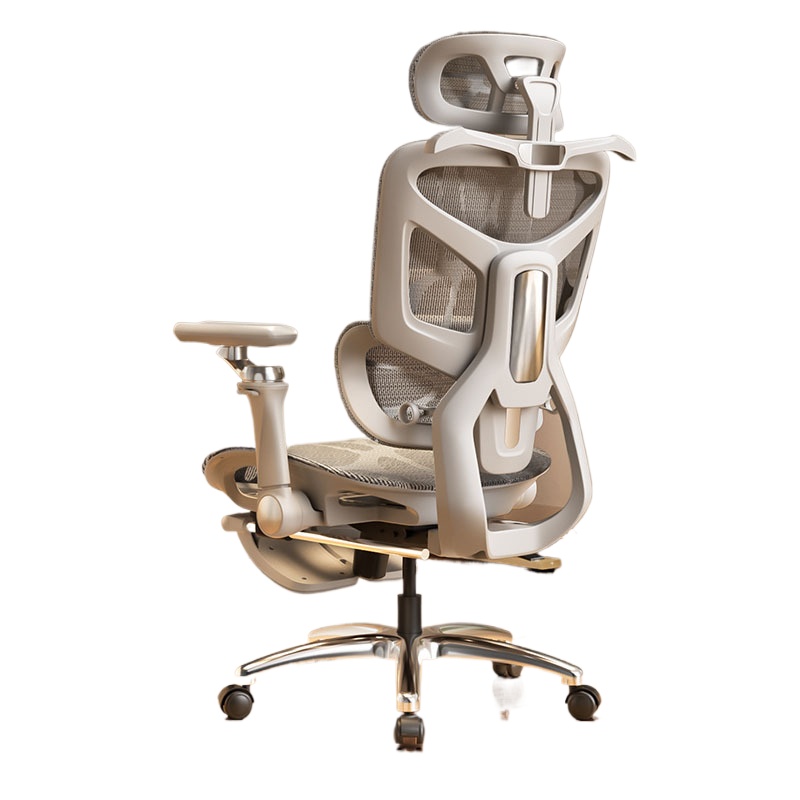 Ergonomic Office Chair for Com - Home Office Ergonomics 评论和价格