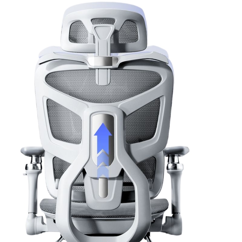 Ergonomic Office Chair for Com - Home Office Ergonomics 评论和价格